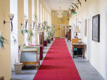 Blütezeit am Mondsee inkl. 1 x Abendessen| 4 Nächte   