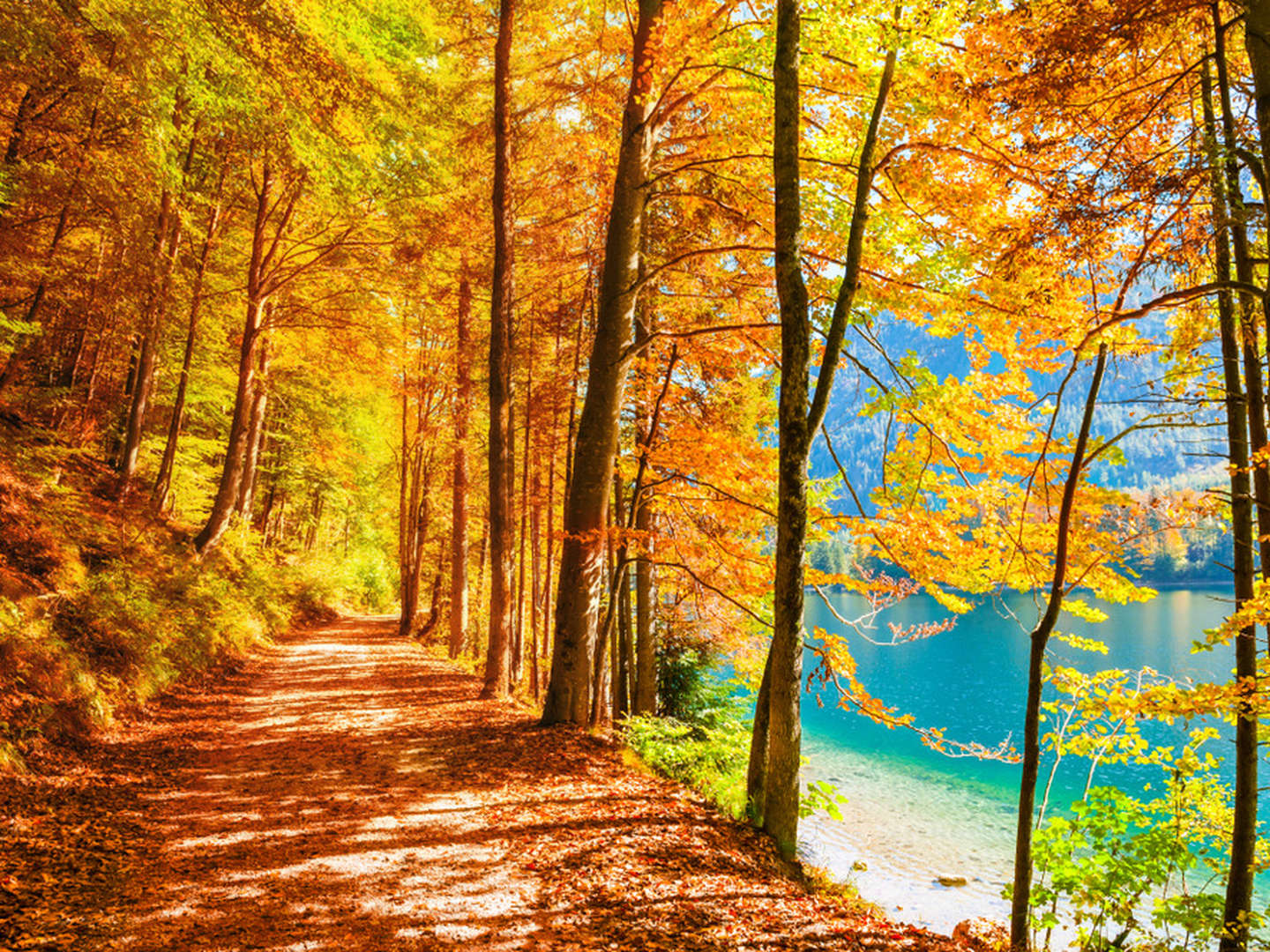 Herbstzauber am Mondsee | 2 Nächte