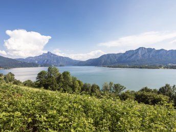 Blütezeit am Mondsee inkl. 2 x Abendessen| 4 Nächte 