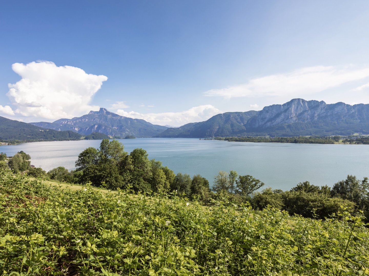 Blütezeit am Mondsee inkl. 2 x Abendessen| 4 Nächte 