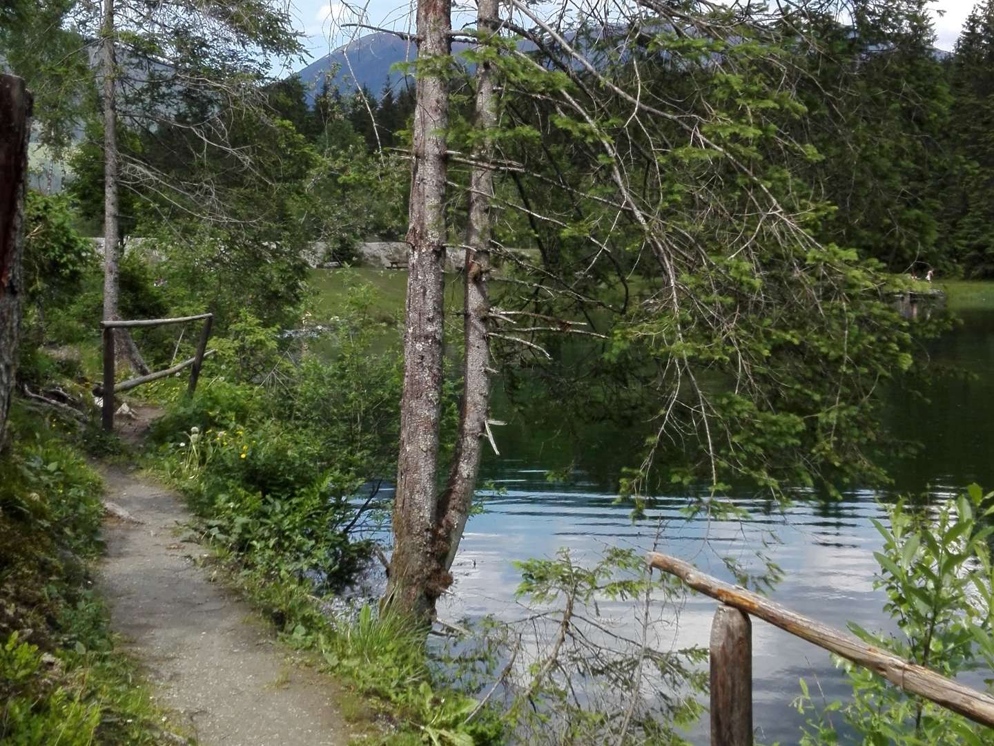 Unvergesslich Krimmler Wasserfälle erleben inkl. Sommercard