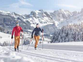 Auszeit vom Alltag inkl. Wellness & Verwöhn-Halbpension | 1 Nacht