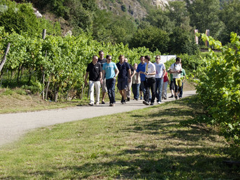 Genuss.Wellness.Wachau | 4 Nächte