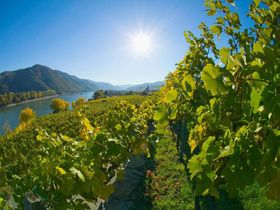 Wine.Special in der Wachau inkl. 7-Gang-Degustationsmenü, Massage & Schnapsverkostung | 2 Nächte