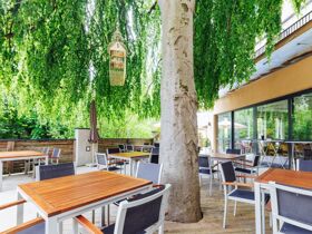 Erholung im Schilcherland inkl. Überraschungsmenü & Stainzerhof Plus Card | 5 Nächte