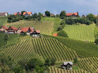 Erholung im Schilcherland inkl. Überraschungsmenü & Stainzerhof Plus Card | 2 Nächte