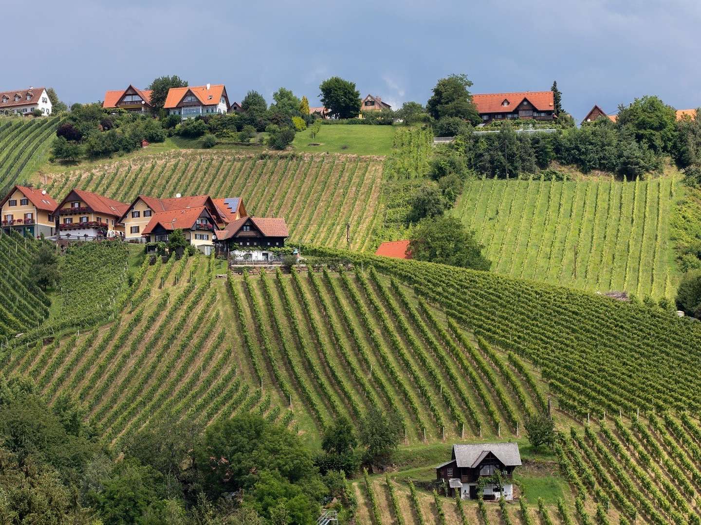 Erholung im Schilcherland inkl. Überraschungsmenü & Stainzerhof Plus Card | 2 Nächte