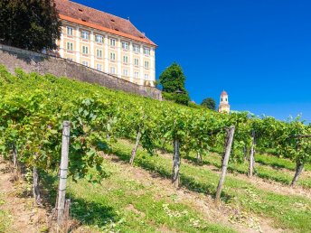 Exklusives 3-für-2 Angebot in den steirischen Weinbergern - Jetzt zugreifen!