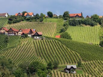 Auszeit im steirischen Schilcherland inkl. Genießerfrühstück & Stainzerhof Plus Card | 2 Nächte