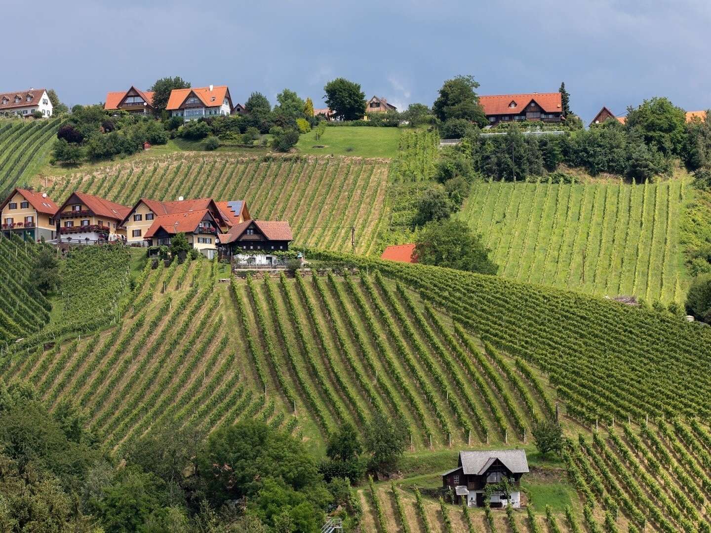 Auszeit im steirischen Schilcherland inkl. Genießerfrühstück & Stainzerhof Plus Card | 2 Nächte