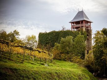 Erholung und neue Energie sammeln in der steirischen Weinbauregion | 4 Nächte