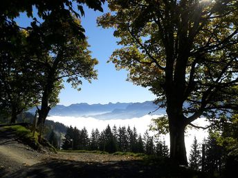 Winterliche Auszeit in den Kitzbüheler Alpen - Entspannung Pur mit Halbpension | 2 Nächte