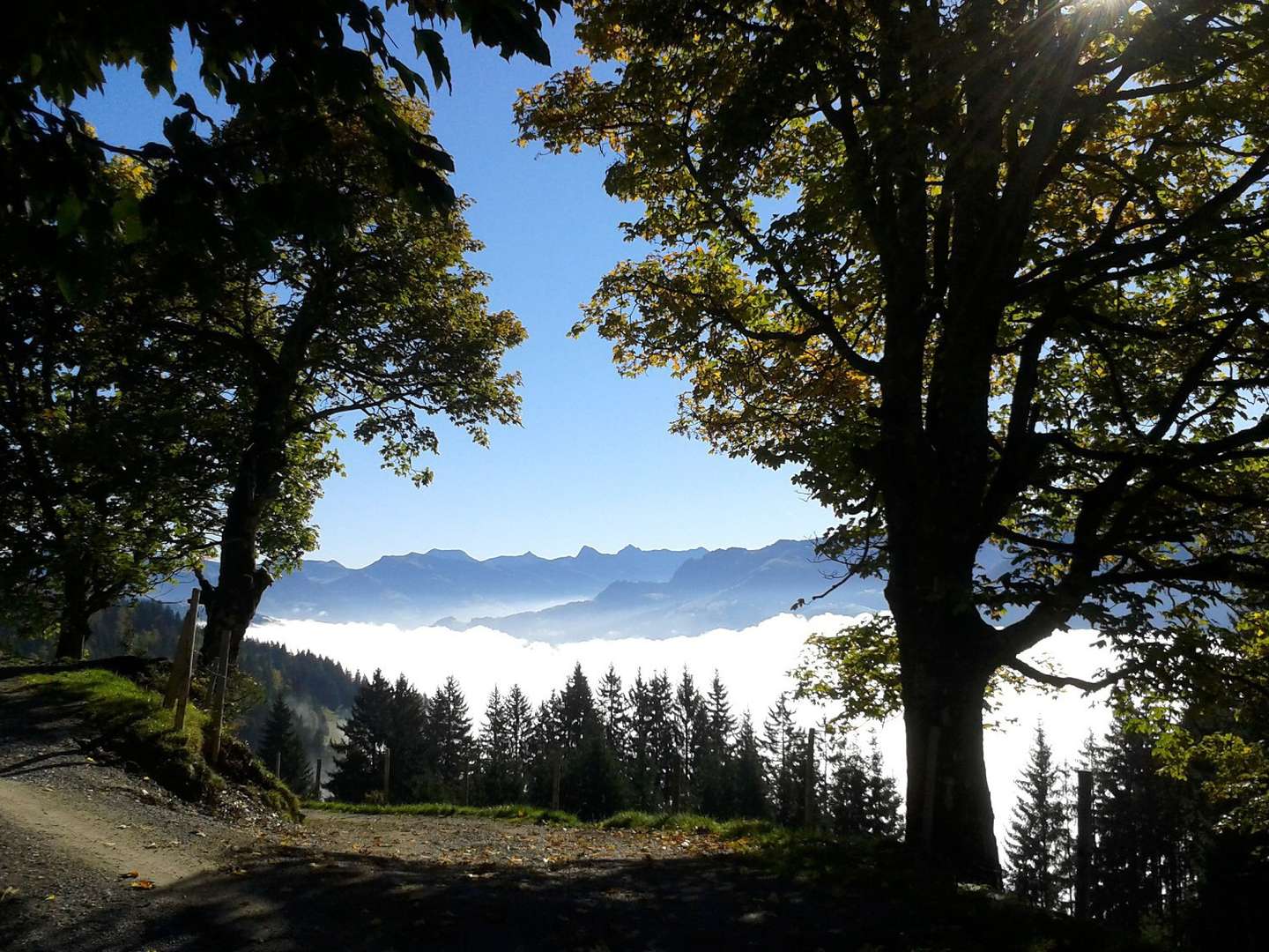 Winterliche Auszeit in den Kitzbüheler Alpen - Entspannung Pur mit Halbpension | 2 Nächte