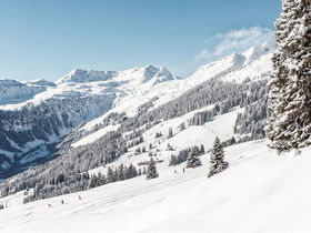 Schneegekrönte Pistengaudi in Saalbach Hinterglemm | 2 Nächte