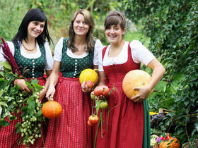  Schnuppern im Dirndltal inkl. 3,5-Gang-Dinner | 1 Nacht