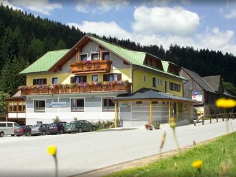 Urlaub auf der Alm inkl. Abendmenü in der Weststeiermark