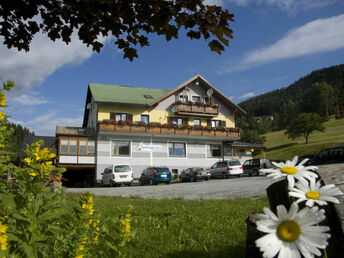 Urlaub auf der Alm inkl. Abendmenü in der Weststeiermark