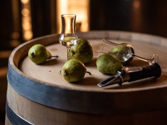 Kurzurlaub im Burgenland mit zahlreichen Benefits - ein Sommer voller Möglichkeiten | 3 Nächte 