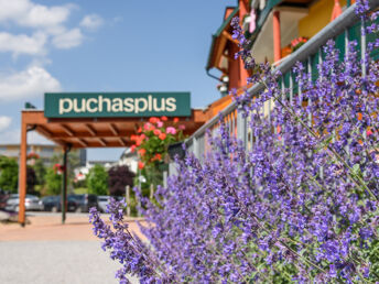 Kurzurlaub im Burgenland mit zahlreichen Benefits - ein Sommer voller Möglichkeiten | 3 Nächte 