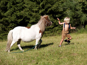 WeihnachtsZAUBER | inkl. Festmenü und traditioneller Feier | 5 Nächte