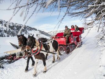 AlmGLÜCK - Familienurlaub inkl. Bergbahn & Fackelwanderung | 7 Nächte 