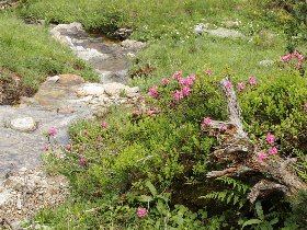 Sommer, Sonne, Berge | 1 Nacht Wanderurlaub bei Schladming inkl. Sommercard für viele Ermäßigungen