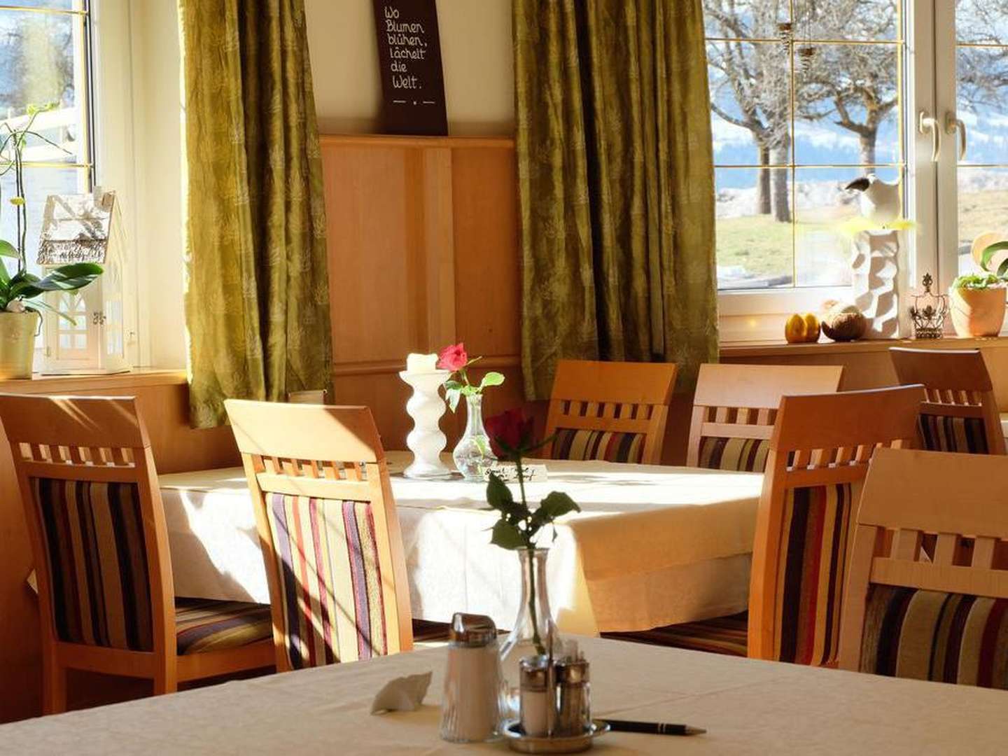 Sommer, Sonne, Berge | 1 Nacht Wanderurlaub bei Schladming inkl. Sommercard für viele Ermäßigungen