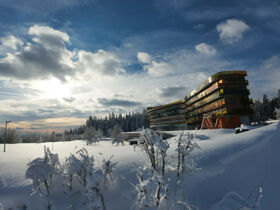 7=6 Spezial Angebot im Singlehotel im Nördlichen Mühlviertel