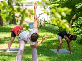 Sonntagszuckerl mit Wellness & Allzeit-BIO-Genuss in der Oststeiermark inkl. 4-Gang Menü | 1 Nacht