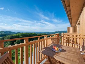 Sonntagszuckerl mit Wellness & Allzeit-BIO-Genuss in der Oststeiermark inkl. 4-Gang Menü | 1 Nacht