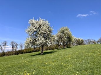 Time to Relax - Entspannungsurlaub in Niederösterreich | 2 Nächte
