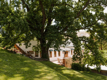 Wellness-Auszeit im Südburgenland inkl. Panorama Außenpool, Überwassermassage, 5-Gang Menü, NaturSPA