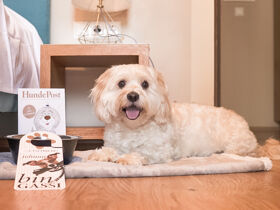 Wellness-Auszeit im Südburgenland inkl. Halbpension, Überwassermassage, NaturSPA uvm. 