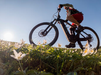 Bike Auszeit im Schneebergland inkl. Mountainbikeverleih | 2 Nächte 
