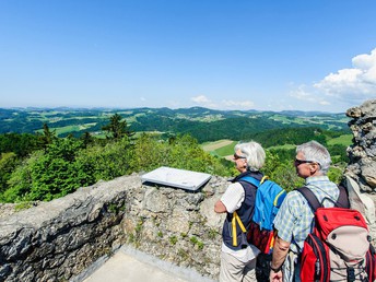 Pfeil & Bogen Package - Bogenschießen auf der Mühlviertler Alm | 3 Nächte
