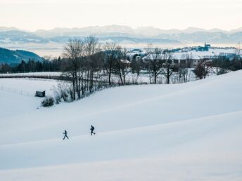 Pfeil & Bogen Package - Bogenschießen auf der Mühlviertler Alm | 3 Nächte