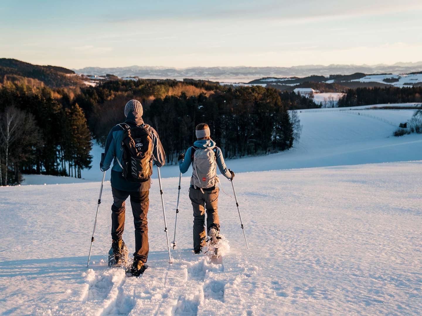 Pfeil & Bogen Package - Bogenschießen auf der Mühlviertler Alm | 3 Nächte