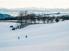 Winterzauber im Mühlviertel inkl. Wellnessbereich | 2 Nächte