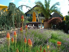 Entspannungsschnäppchen in Bad Radkersburg inkl. Frühstück | 6 Nächte