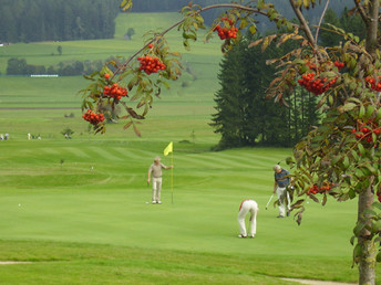 Ländliche Harmonie & gelebte Tradition im Landhotel in der Oststeiermark | 2 Tage