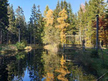 Ländliche Harmonie & gelebte Tradition im Landhotel in der Oststeiermark | 2 Tage