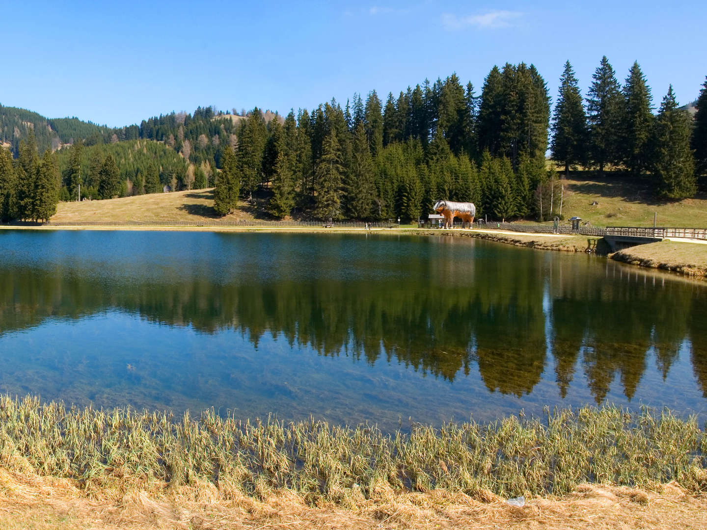 Ländliche Harmonie & gelebte Tradition im Landhotel in der Oststeiermark | 2 Tage