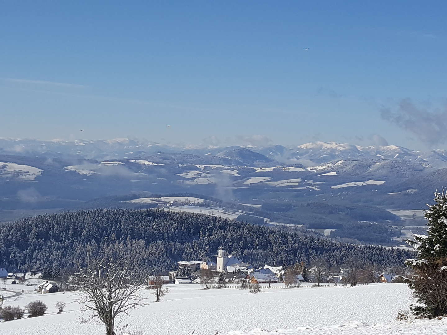 Ländliche Harmonie & gelebte Tradition im Landhotel in der Oststeiermark | 2 Tage