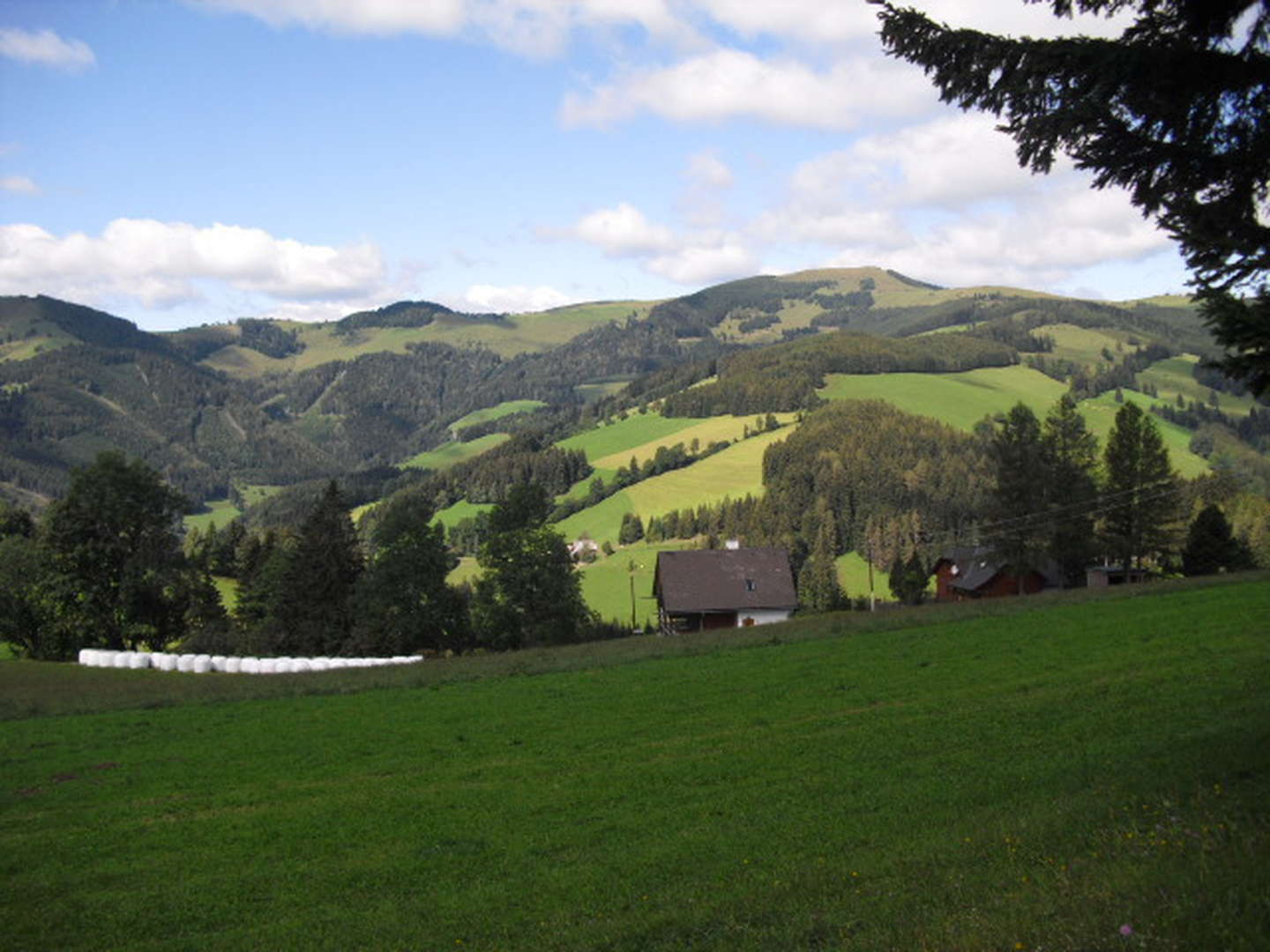 Ländliche Harmonie & gelebte Tradition im Landhotel in der Oststeiermark | 2 Tage