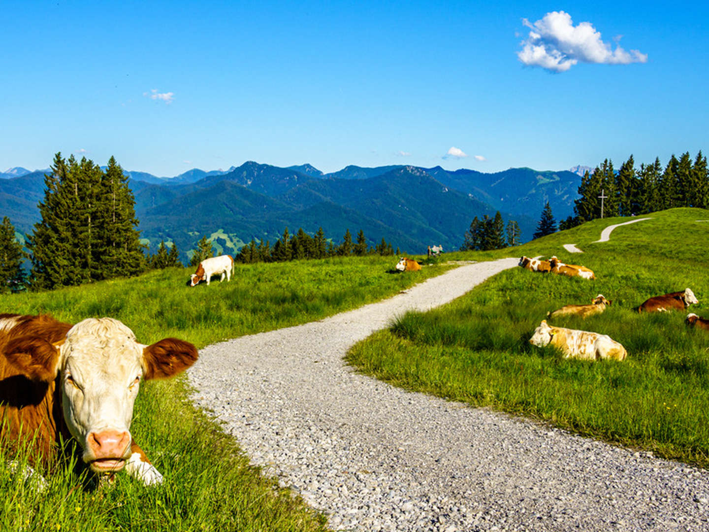Natur Pur im steirischen Almenland | 6 Tage im Landhotel Schwaiger inkl. Halbpension & GenussCard