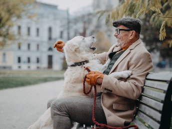 Städtetrip nach Graz mit Ihrem Vierbeiner inkl. Frühstück | ohne zusätzlicher Hundegebühr | 4 Nächte