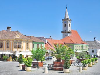 Radurlaub am Neusiedler See