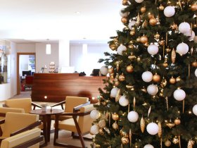 Weihnachtszeit in Rust am Neusiedler See 