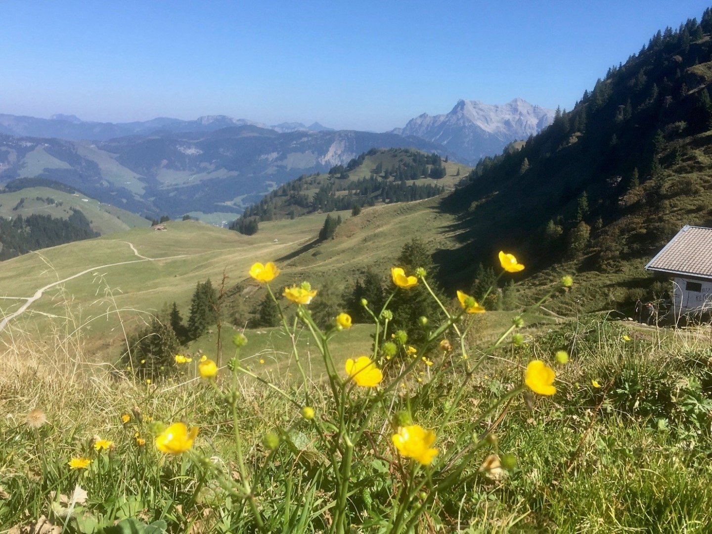 Auszeit in den Kitzbüheler Alpen inkl. Halbpension | 6 Nächte 