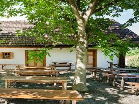 Wein-Genusstage im Südburgenland mit Weinverkostung & Jause I 2 Nächte